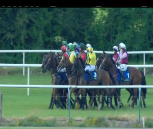 Video preview image for Tipperary 20:25 - Follow @tipperaryraces.ie Handicap Hurdle (Div 2)