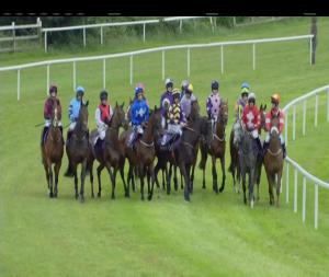 Video preview image for Wexford 17:15 - info@wexfordraces.ie Mares Maiden Hurdle