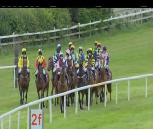 Video preview image for Wexford 17:45 - Stena Line Europe Maiden Hurdle