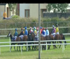 Video preview image for Wexford 18:45 - Mary Barry's Seafood Bar Handicap Hurdle (Div 2)