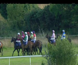 Video preview image for Wexford 19:15 - Brendan Cullimore Electrical Novice Chase