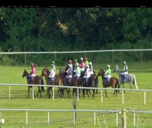 Video preview image for Wexford 19:45 - Stena Line Horizon Beginners Chase