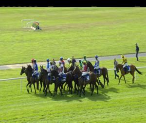 Video preview image for Ballinrobe 17:50 - Cawe Ceilings Delia Murphy's Bar Maiden Hurdle