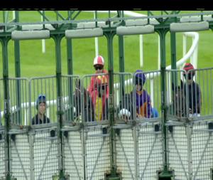 Video preview image for Ballinrobe 18:20 - Win Big With Tote Maiden 