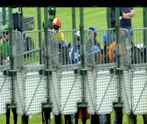 Video preview image for Ballinrobe 18:50 - Tote Handicap