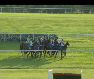 Video preview image for Ballinrobe 20:20 - Sweeney Oil Handicap Hurdle