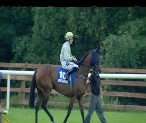 Video preview image for Ballinrobe 20:50 - Win Big With Tote Maiden