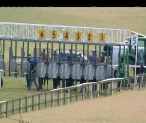 Video preview image for Bellewstown 18:05 - Indaver Ireland Handicap