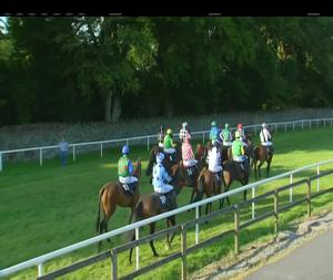 Video preview image for Bellewstown 19:20 - Sean Rothwell Construction Handicap Hurdle