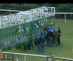 Video preview image for Bellewstown 20:15 - Lougher Stables Handicap