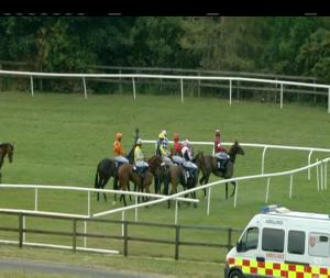 Video preview image for Bellewstown 20:25 - Thatch Bar and Restaurant Novice Hurdle