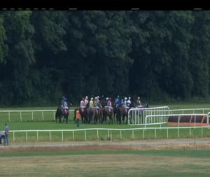 Video preview image for Cork 18:15 - Whitechurch Gaa Goes Racing Maiden Hurdle