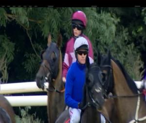 Video preview image for Cork 19:50 - Little Hours Play After Racing Hurdle