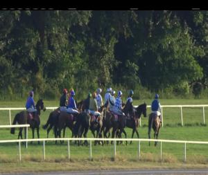 Video preview image for Cork 20:55 - Cork Rocks Music Night At Cork I.N.H. Flat