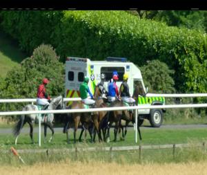 Video preview image for Downpatrick 15:40 - Tullyraine Veterinary Clinic (C & G) Maiden Hurdle