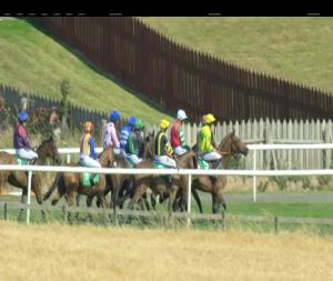 Video preview image for Downpatrick 16:15 - Itba Mares Maiden Hurdle