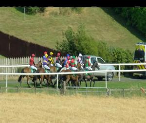 Video preview image for Downpatrick 16:50 - North Down Marquees Handicap Hurdle