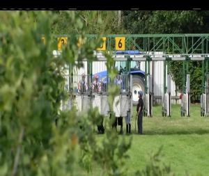 Video preview image for Down Royal 17:30 - 100% Magners Irish Cider