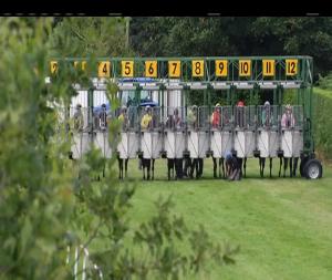 Video preview image for Down Royal 18:05 - Apple Orchard Handicap 