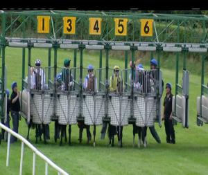 Video preview image for Down Royal 18:35 - Irish Stallion Farms European Breeders Fund Maiden