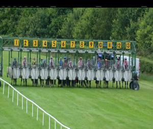 Video preview image for Down Royal 19:05 - Magners Light Handicap