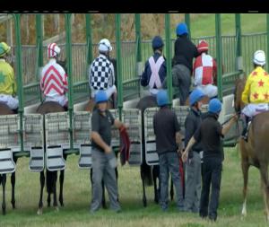 Video preview image for Down Royal 20:05 - Magners Original Apprentice Handicap