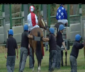 Video preview image for Down Royal 20:35 - Magners Outcider Handicap