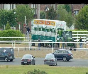 Video preview image for Dundalk 14:30 - Hmt Shipping Claiming 