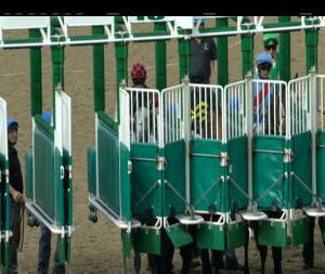 Video preview image for Dundalk 17:25 - Down Gaa Maiden