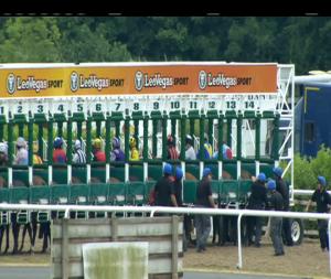 Video preview image for Dundalk 17:55 -  Sportswear Handicap