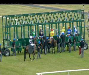 Video preview image for Fairyhouse 16:30 - toals.com Bookmakers Handicap