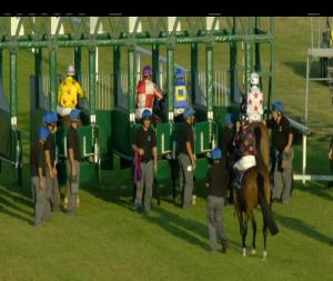 Video preview image for Fairyhouse 20:25 - Cliona Hagan & Her Band Handicap