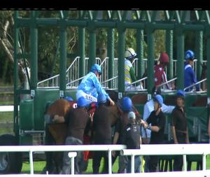 Video preview image for Galway 18:25 - claregalwayhotel.ie (C & G) Irish European Breeders Fund Maiden