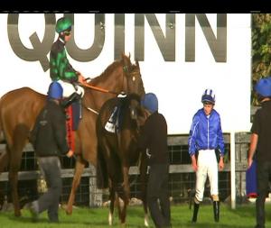 Video preview image for Galway 20:10 - Caulfield Industrial Handicap