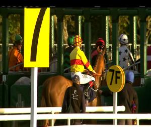 Video preview image for Galway 20:40 - caulfieldindustrial.com Handicap