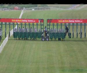 Video preview image for Gowran Park 13:25 - Foran Equine Irish European Breeders Fund Auction Fillies Maiden