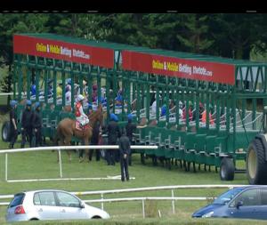 Video preview image for Gowran Park 15:35 - Gowran Park Handicap