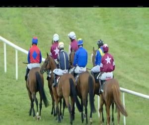 Video preview image for Kilbeggan 18:55 - Kilbeggan Irish Whiskey Handicap Hurdle