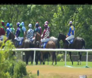 Video preview image for Killarney 13:50 - Killarney Grand Live Music Mares Maiden Hurdle