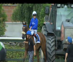 Video preview image for Killarney 15:30 - Irish Stallion Farms European Breeders Fund Cairn Rouge Stakes (Listed)