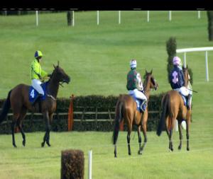 Video preview image for Killarney 19:35 - Irish Stallion Farms European Breeders Fund Mares Hurdle