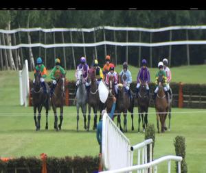 Video preview image for Killarney 20:00 - Odds Boost Your Bets With The Ladbrokes App Maiden Hurdle