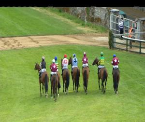 Video preview image for Killarney 20:00 - Rentokill Initial Handicap Chase (Grade B)
