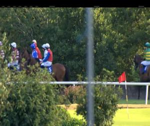 Video preview image for Killarney 20:10 - Provimilk Calf Milk Replacer Handicap Hurdle