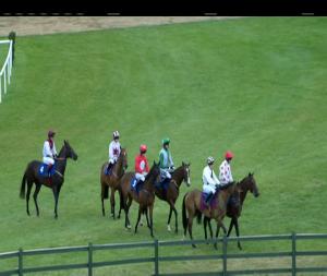 Video preview image for Killarney 21:00 - Ladbrokes Download The Grid App Mares (Pro/Am) I.N.H. Flat