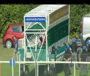 Video preview image for Leopardstown 17:30 - Foran Equine Irish European Breeders Fund Auction Maiden