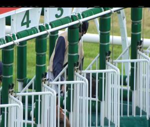 Video preview image for Leopardstown 19:50 - Irish Stallion Farms European Breeders Fund Stanerra Stakes (Group 3)