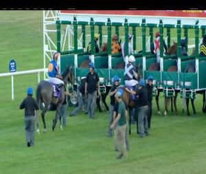 Video preview image for Leopardstown 20:10 - Kingdom Of Bahrain Vinnie Roe Stakes (Listed)