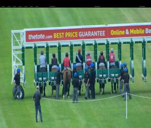 Video preview image for Leopardstown 20:55 - Red Bean Roastery (Q.R.) Maiden