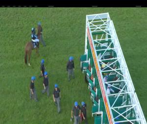 Video preview image for Leopardstown 20:55 - Ryans Cleaning Event Specialists Handicap